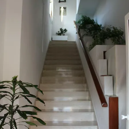 Ante Apartment